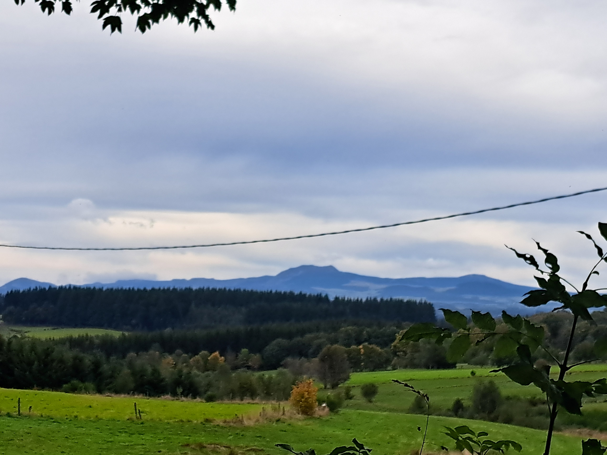 Ferme rénovée année 80 sur 4900 m2 de terrain