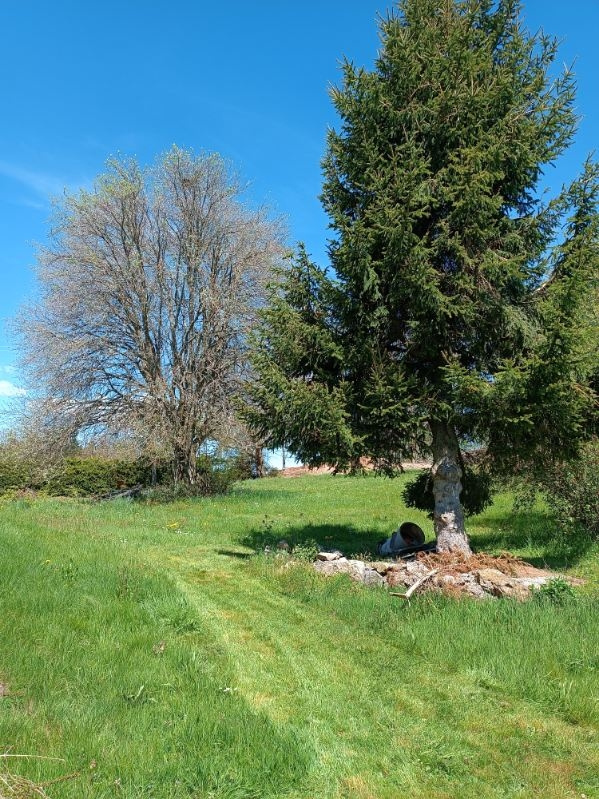 Maison en pierre avec dépendances