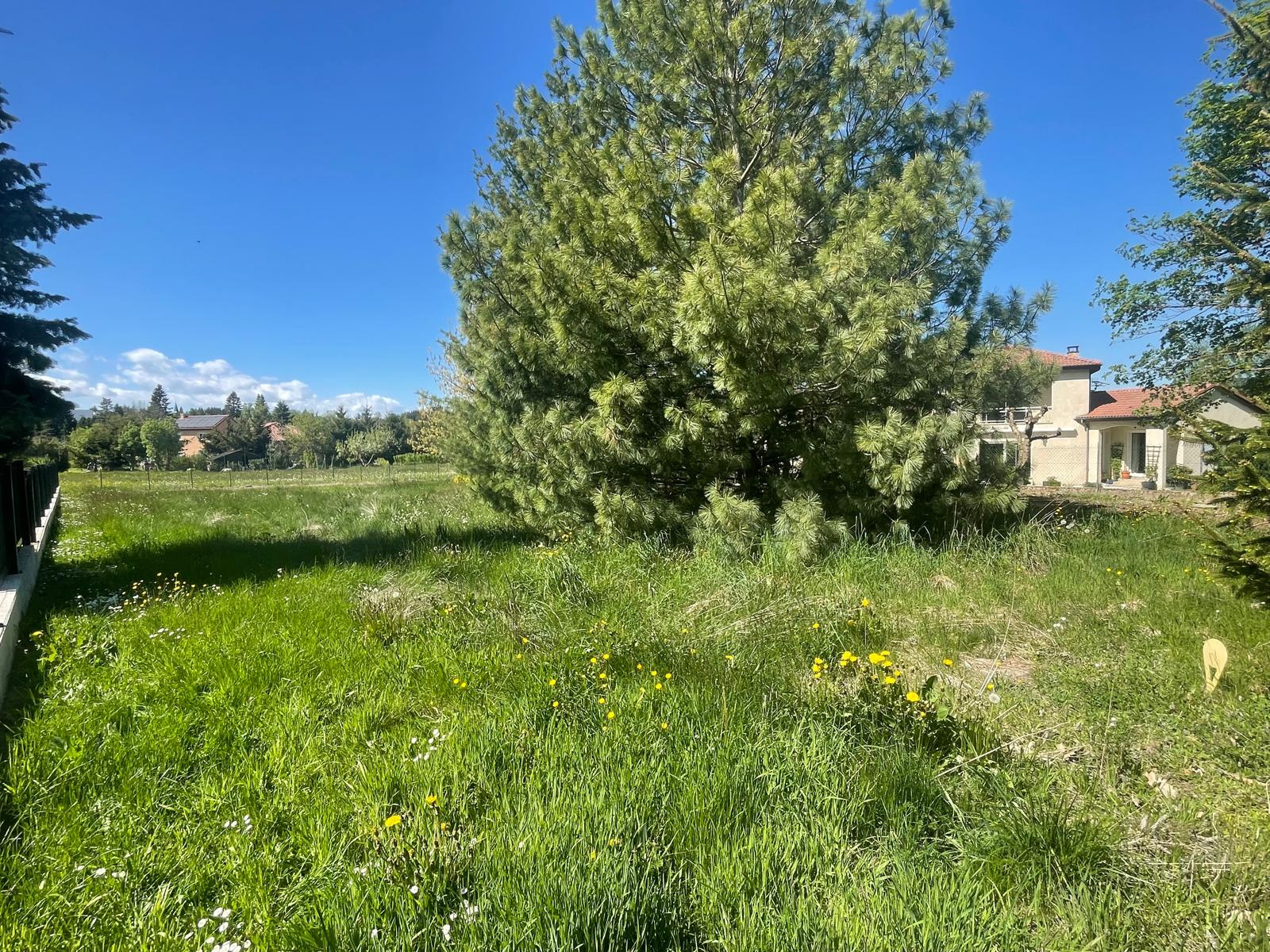 Terrain viabilisé