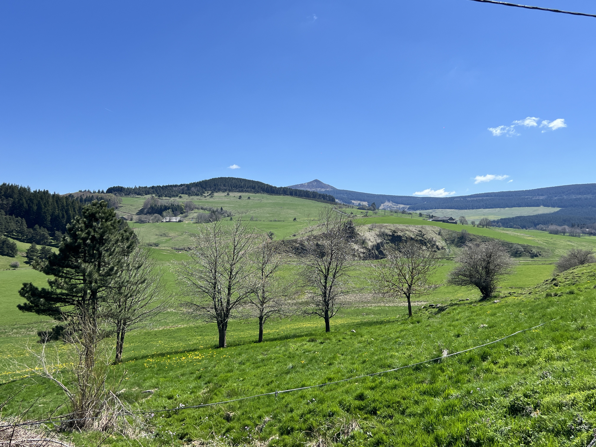 Ferme