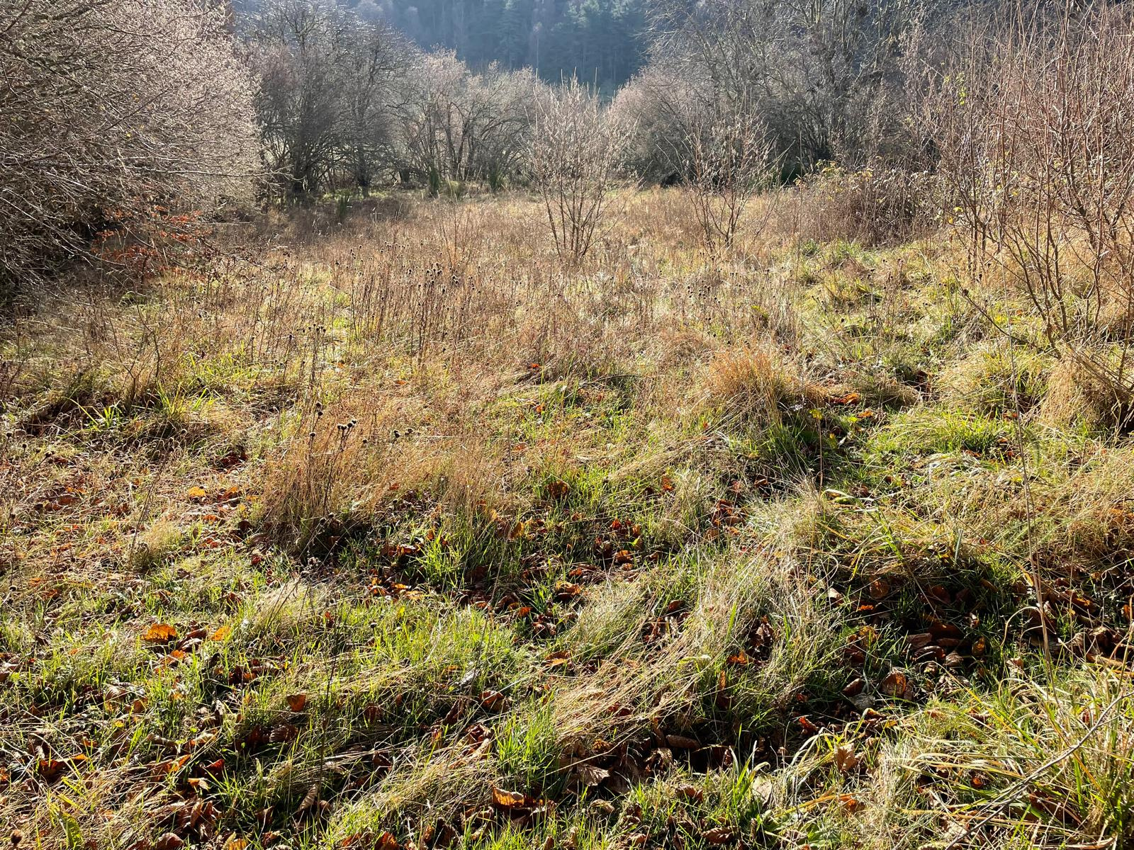 Terrain constructible de 2140 m2