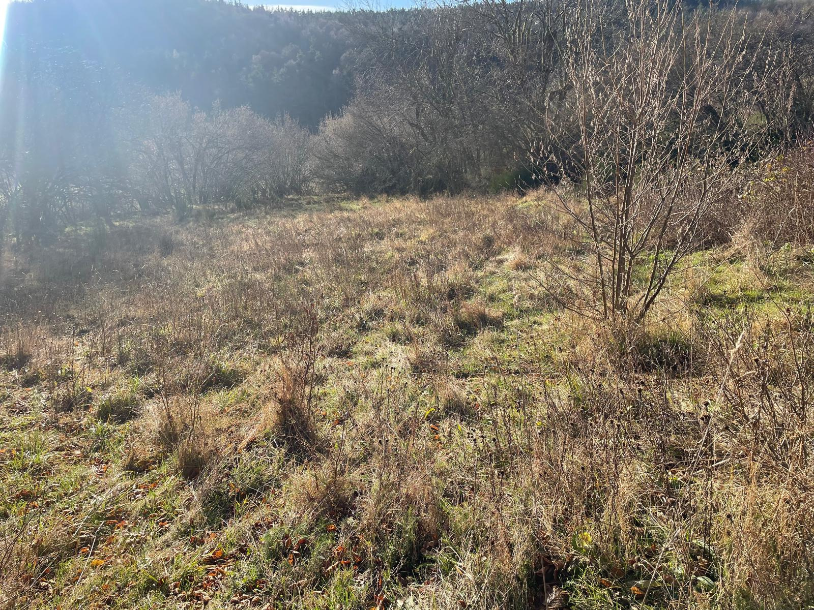 Terrain constructible de 2140 m2