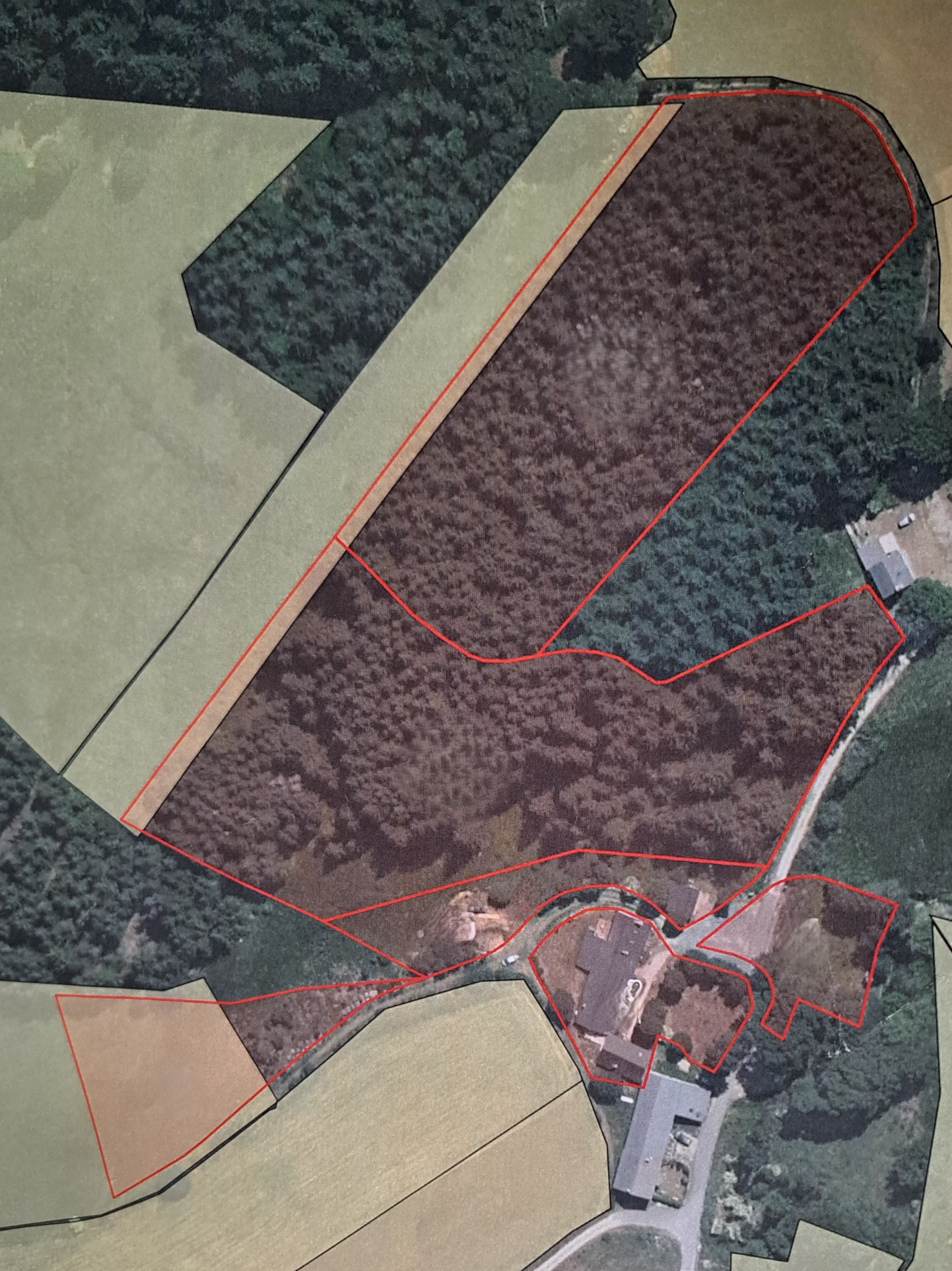 Le Chambon sur Lignon grande ferme rénovée sur 27 190 m2