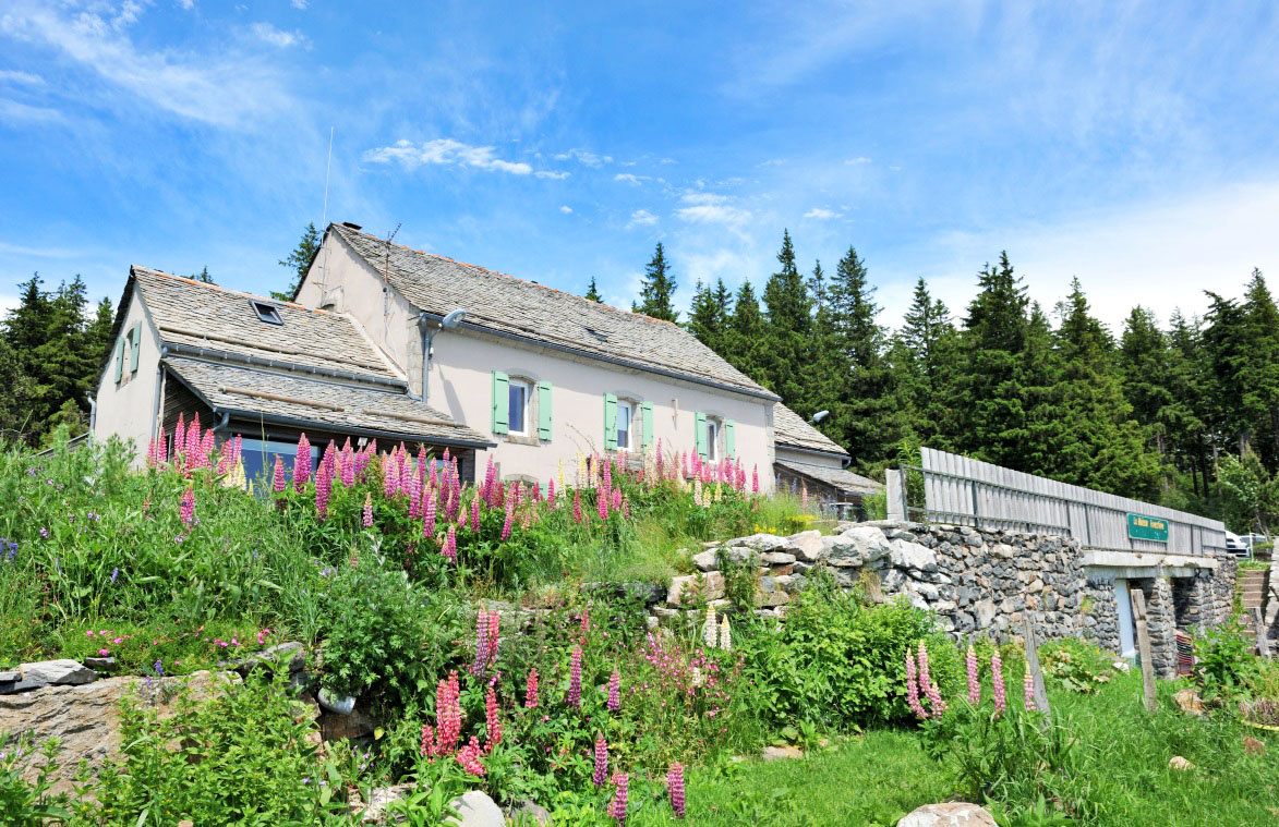 Accueil restaurant murs et fonds au pied du Mézenc