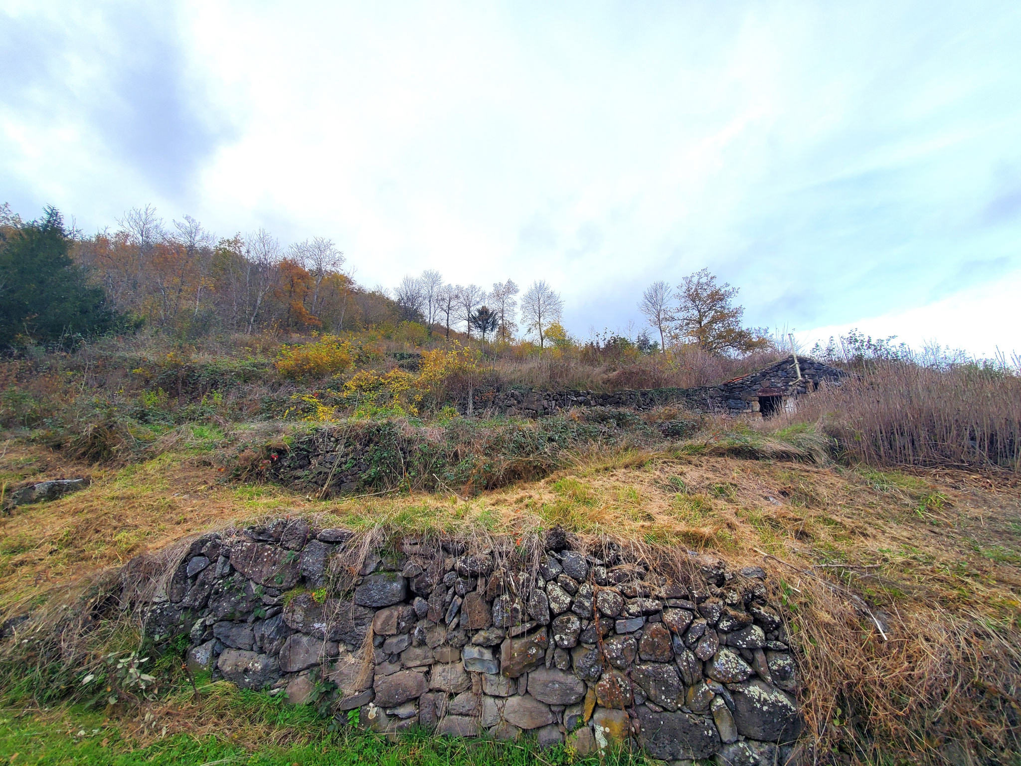 Terrain à bâtir