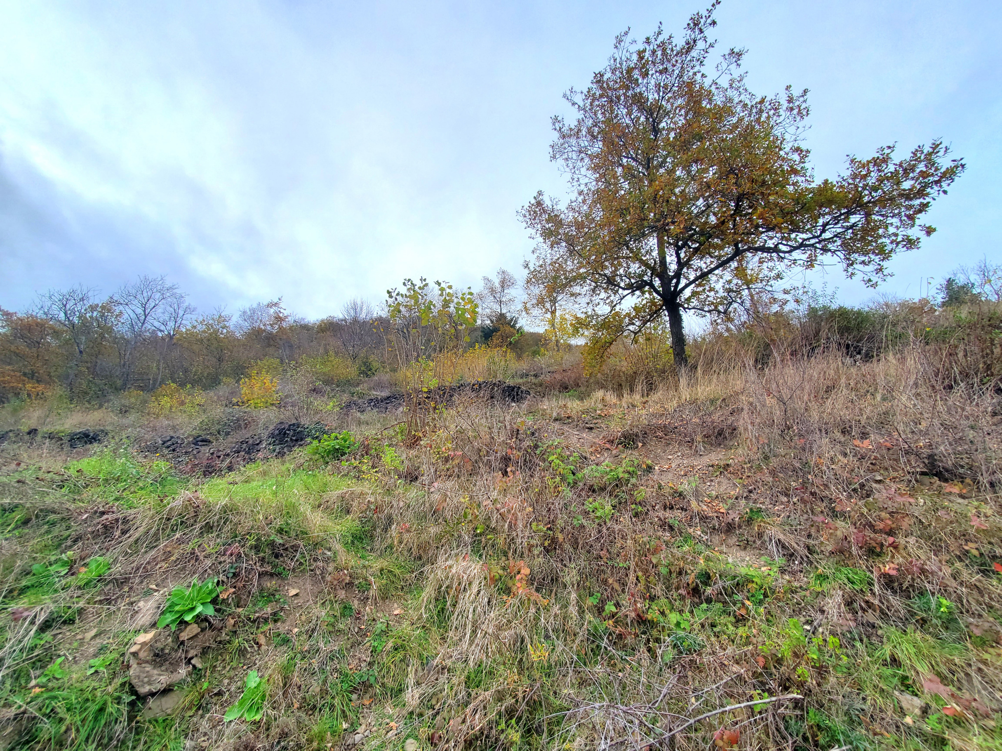 Terrain à bâtir