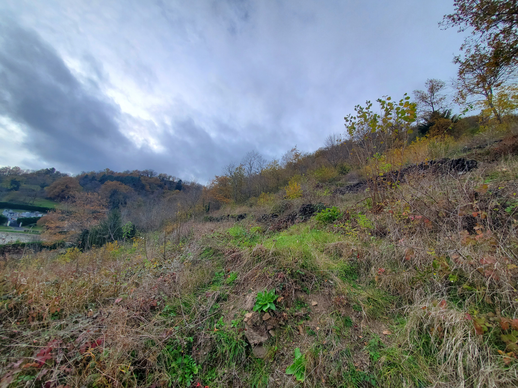 Terrain à bâtir