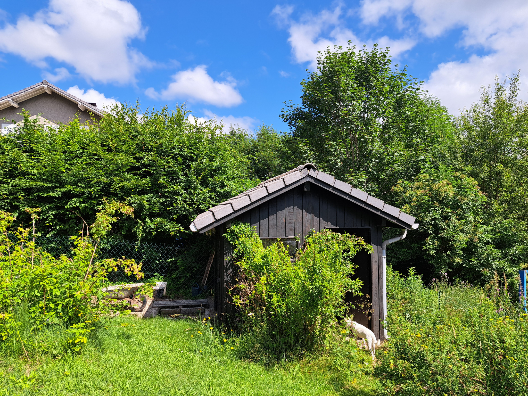 Très belle maison des années 40 rénovée, avec du terrain et dépendances