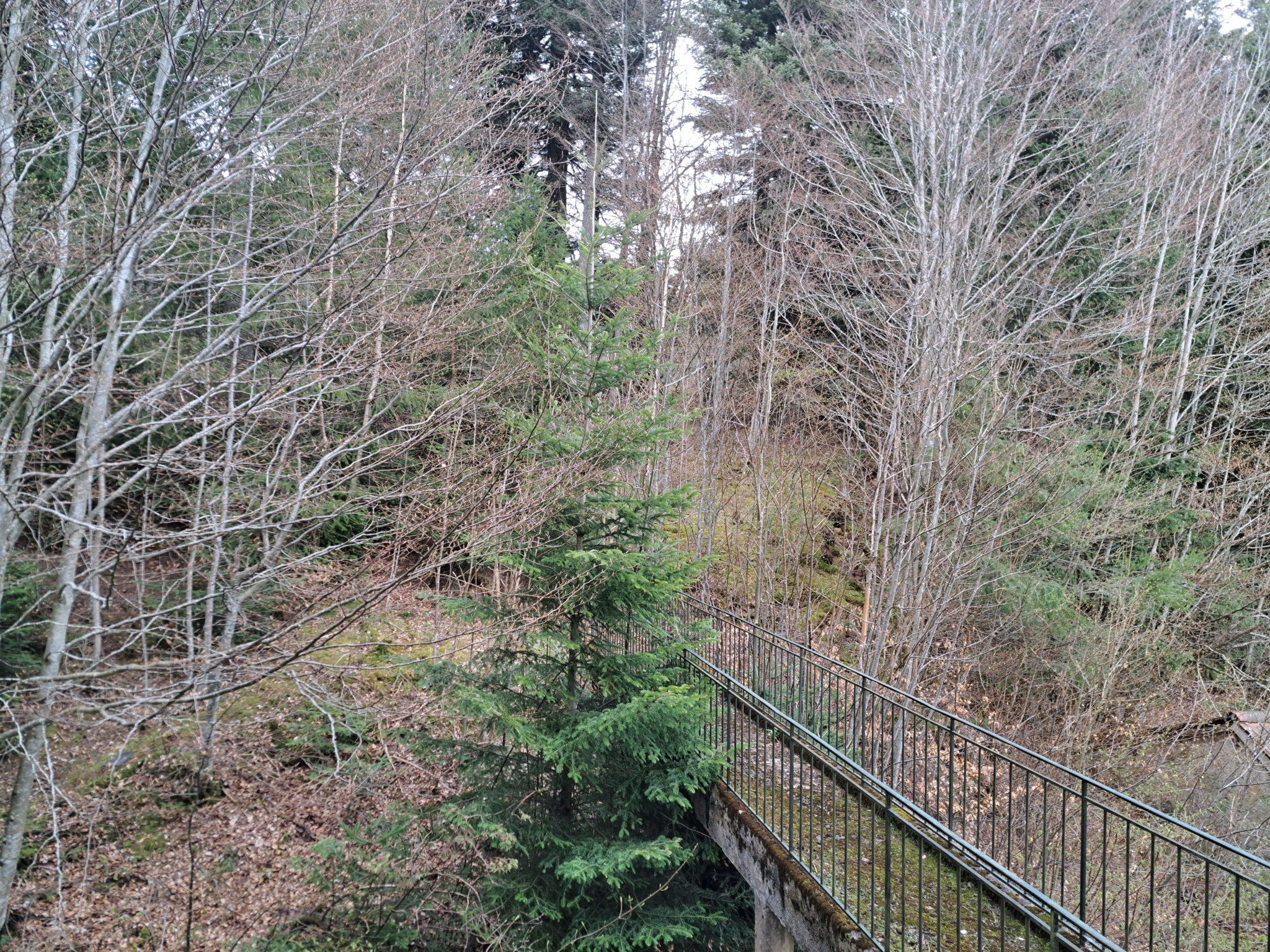 Le Chambon sur Lignon Maison des années 20  une des 1ère résidence de tourisme