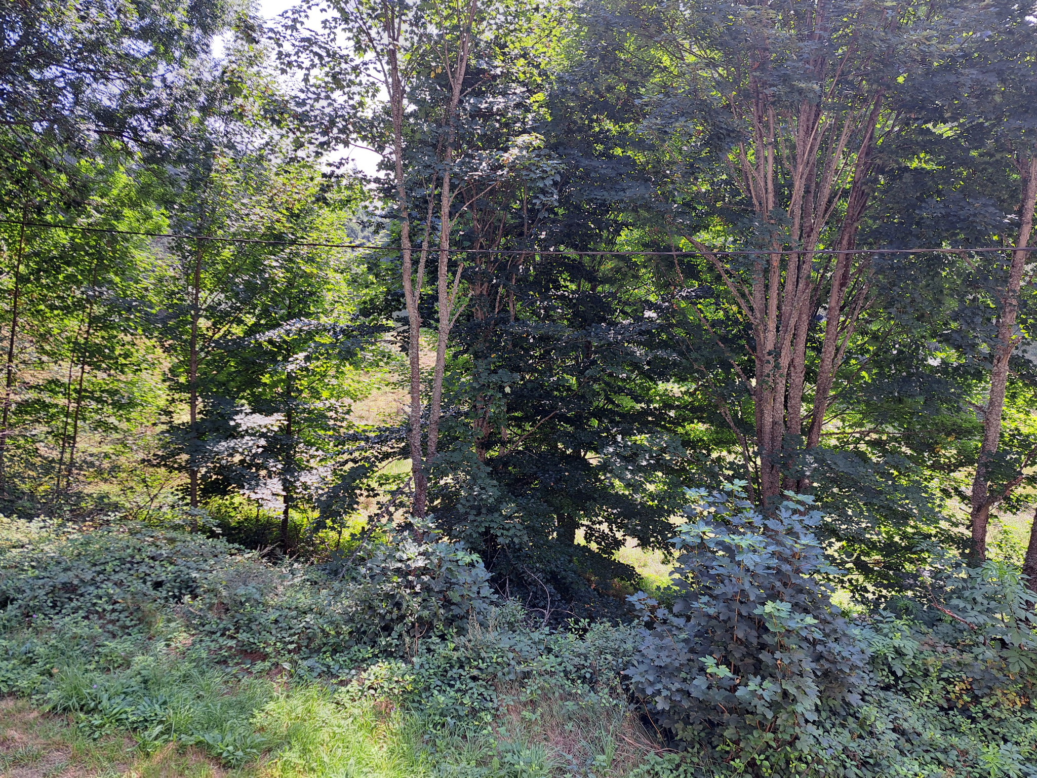 Le Chambon sur Lignon Maison des années 20  une des 1ère résidence de tourisme