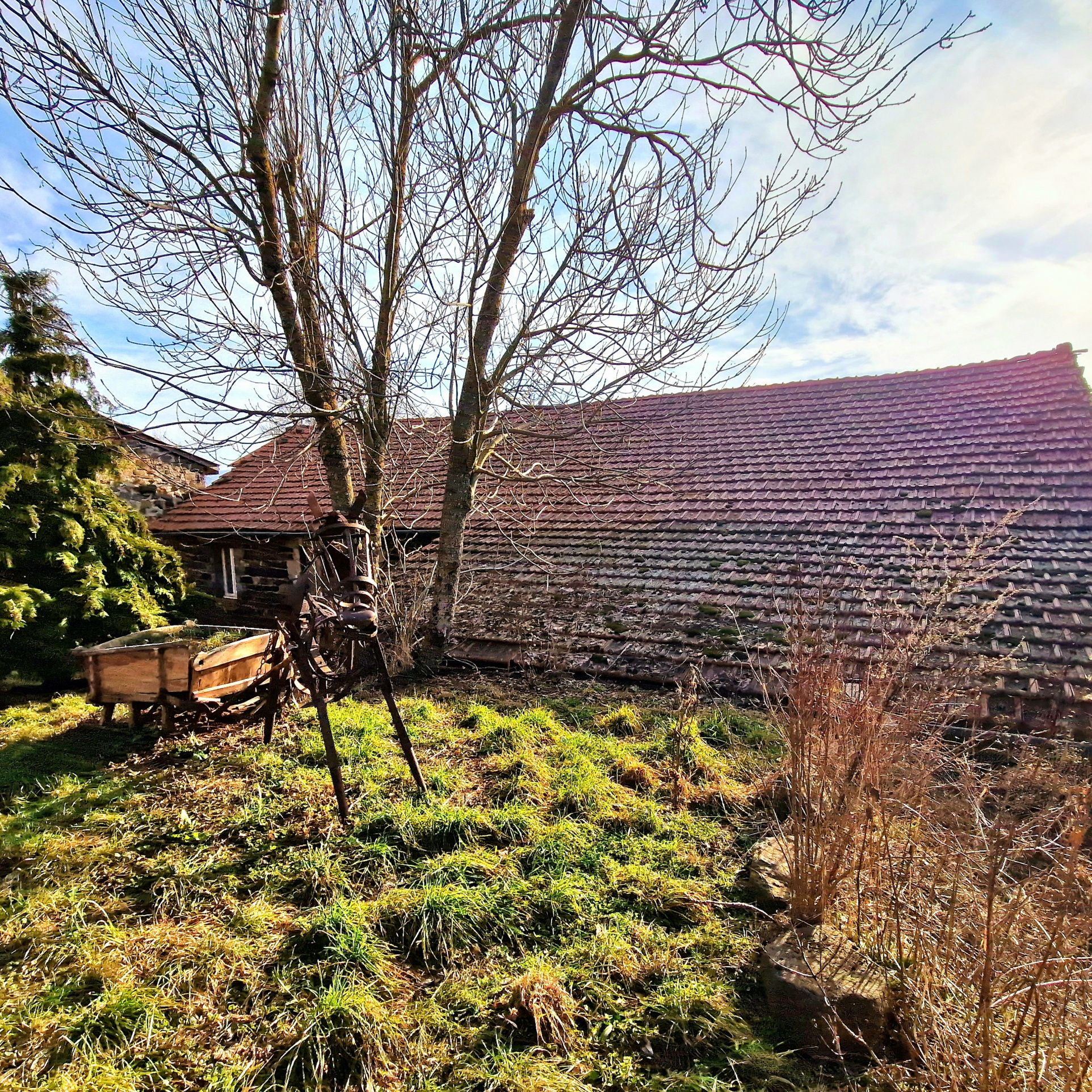 Ferme avec terrain attenant de 1165 m2