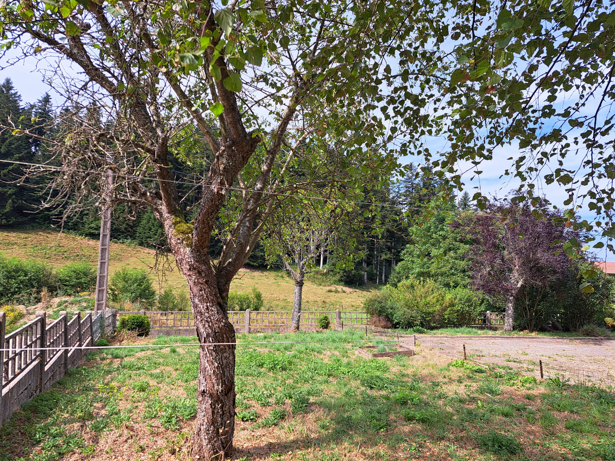 MAISON PROCHE VOIE VERTE YSSINGEAUX MONTFAUCON LAVALETTE