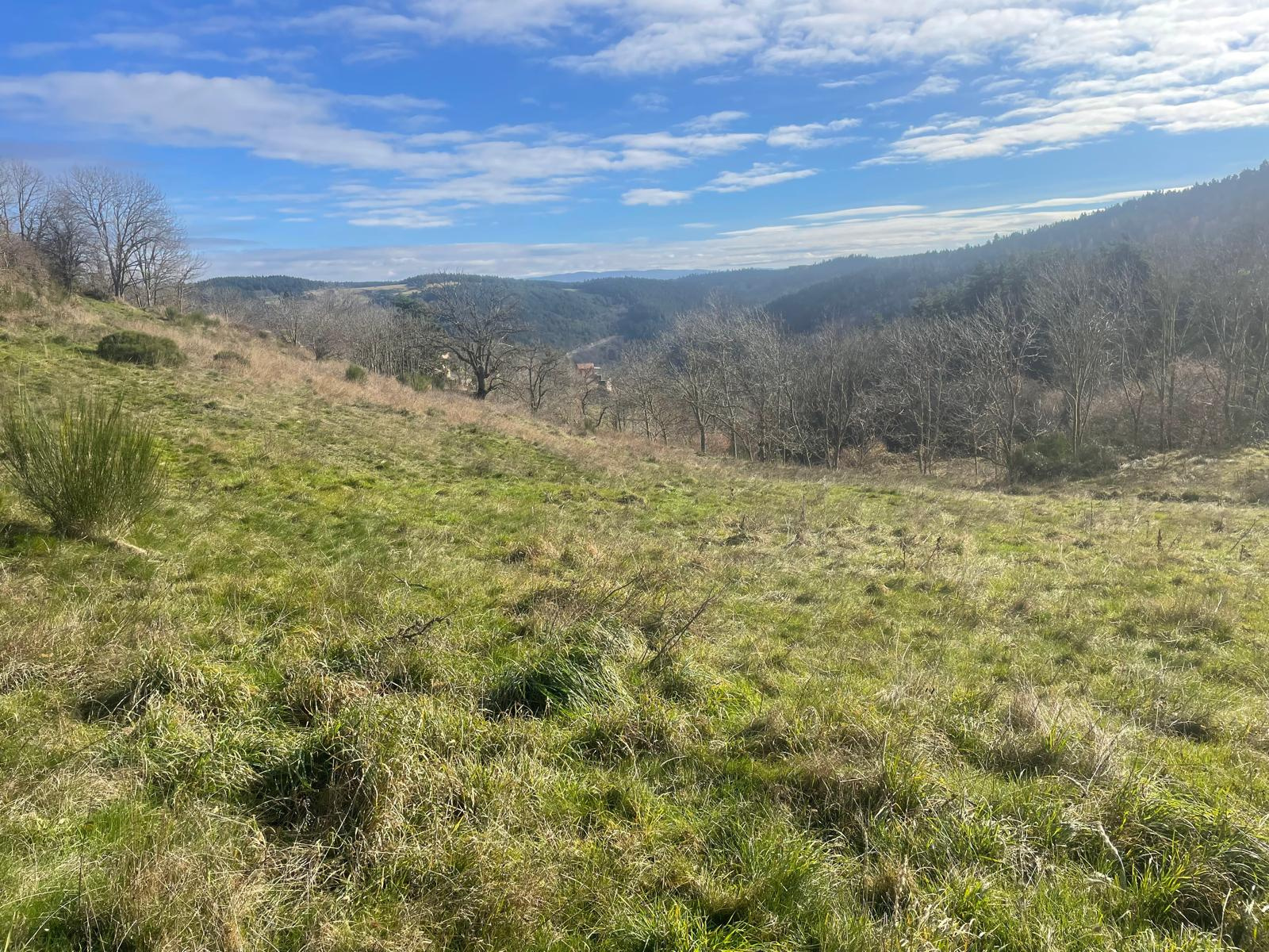 Très belle bâtisse en pierres avec 7800 m2 de terrain