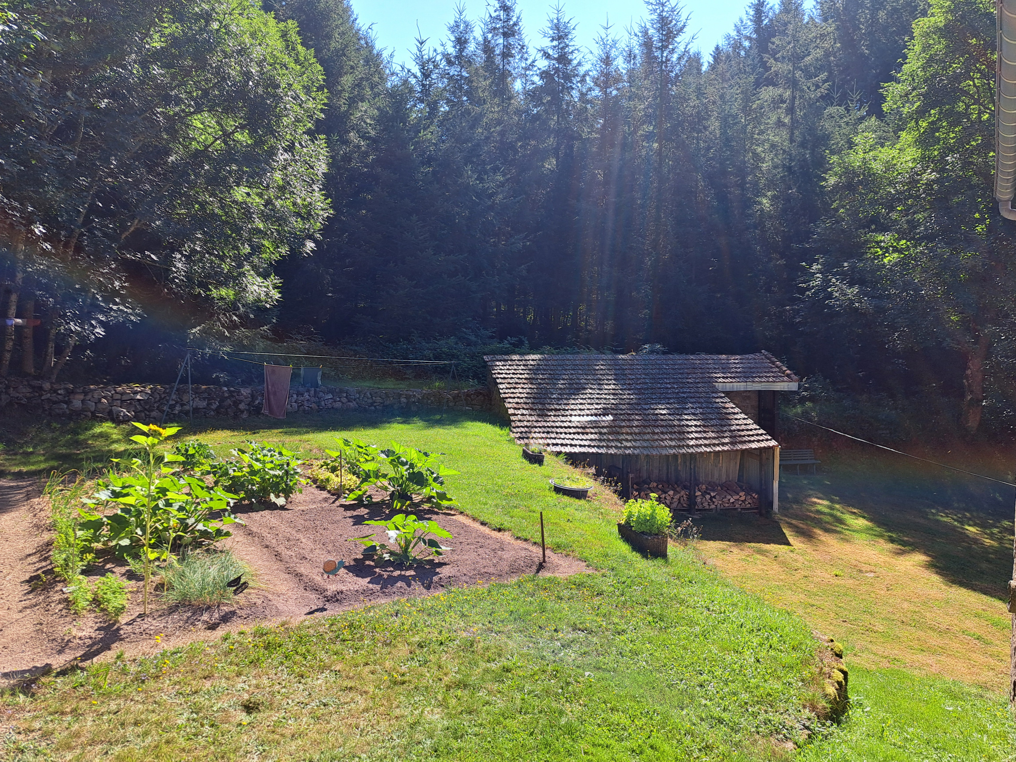 Ferme en partie rénovée à Tence sur 4700m2 de terrain