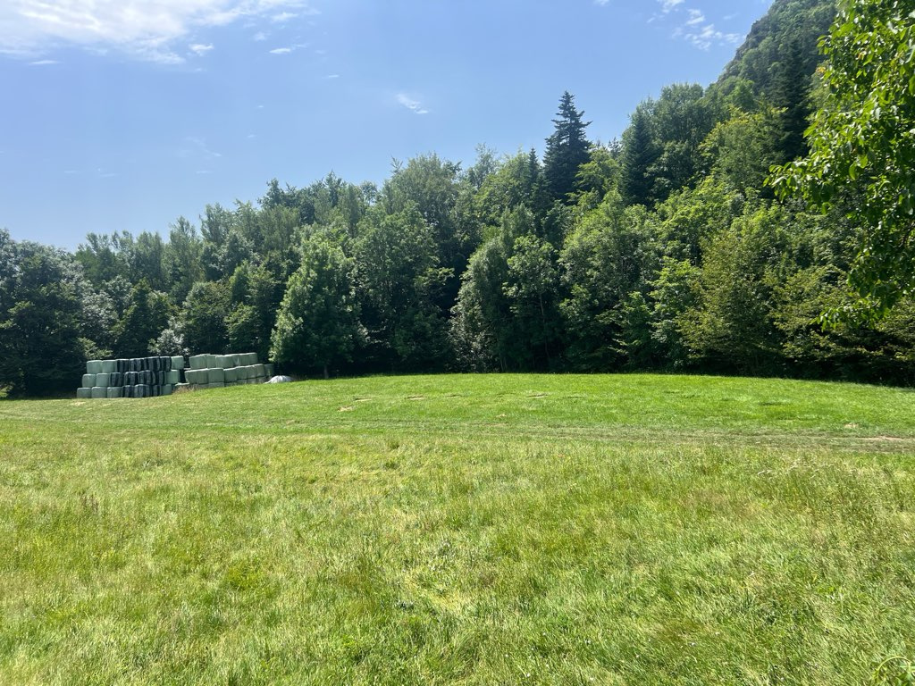 Maison en pierre avec grand terrain