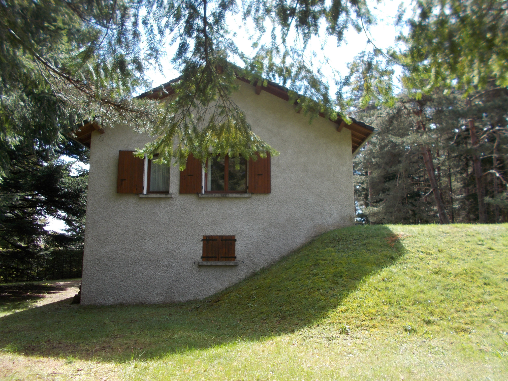 Maison indépendante sur terrain partiellement boisé