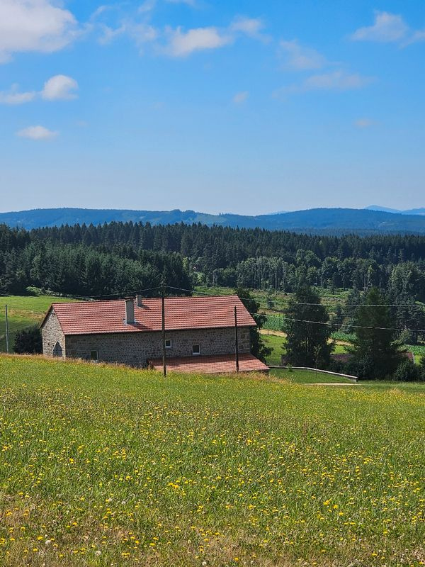 Maison en pierre avec terrain