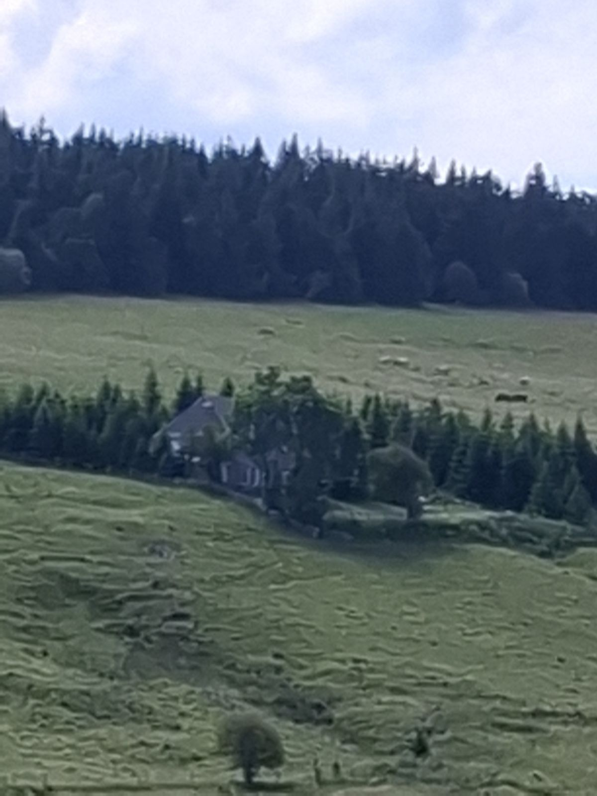 Belle ferme rénovée sur 6577 m2 de terrain