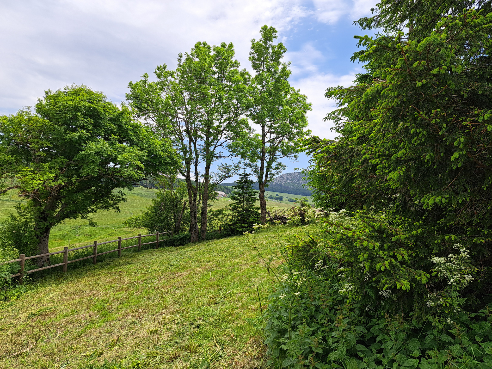 Belle ferme rénovée sur 6577 m2 de terrain