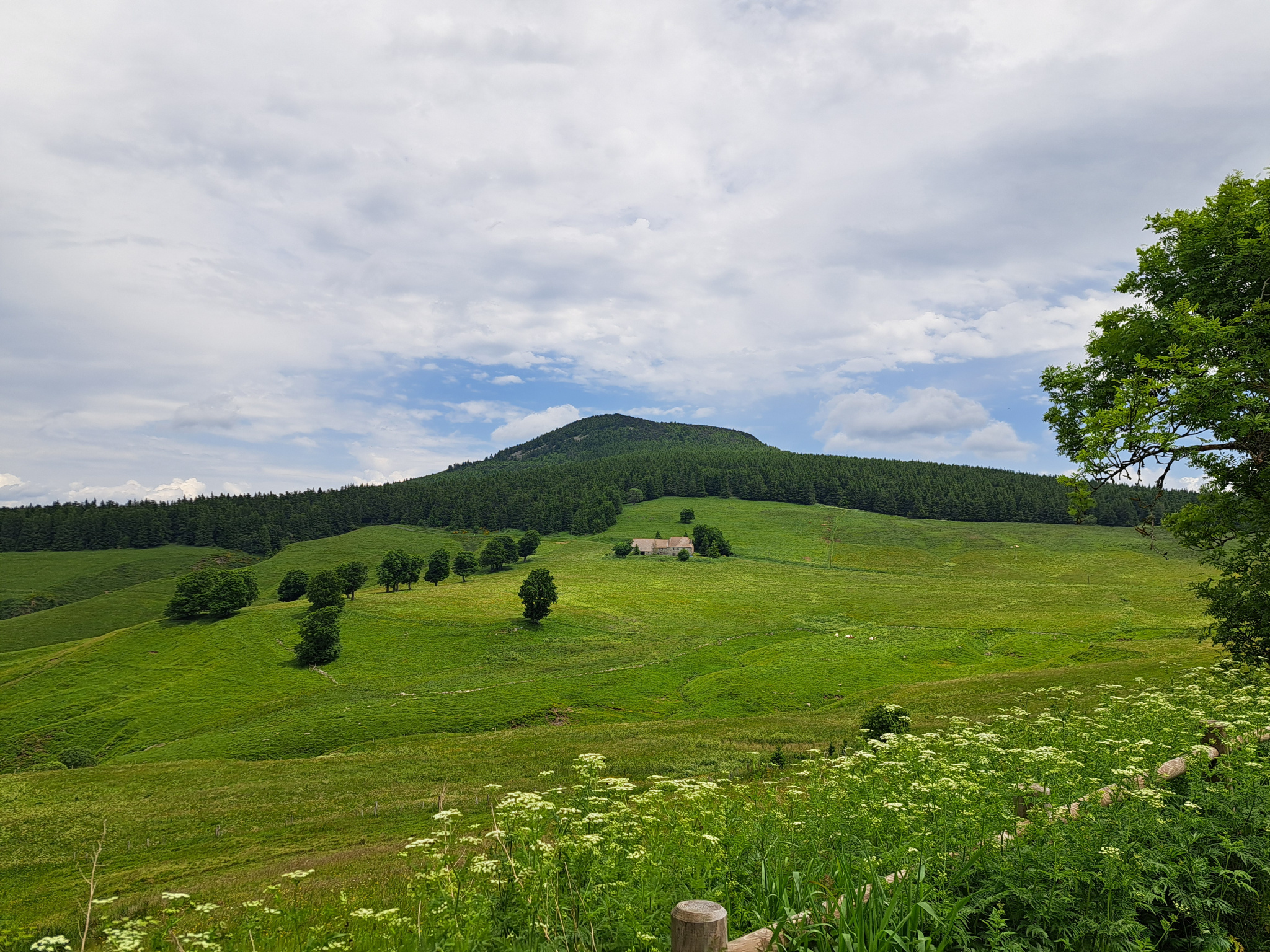 Belle ferme rénovée sur 6577 m2 de terrain