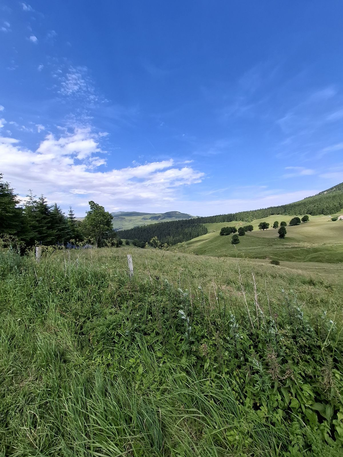 Belle ferme rénovée sur 6577 m2 de terrain