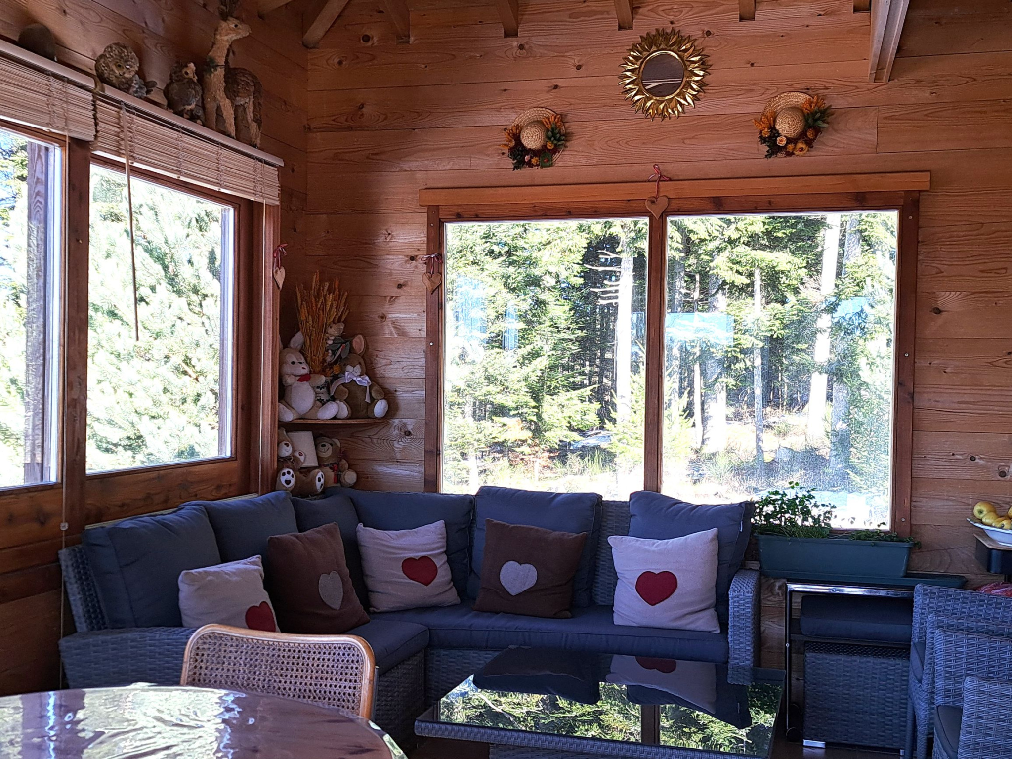 Magnifique Chalet en madrier sur 7259 m2 de terrain
