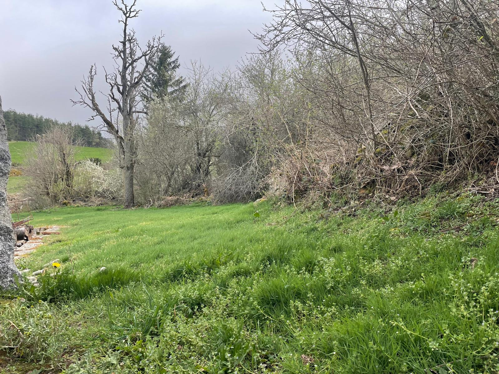Jolie ferme à rénover avec 2000 m2 de terrain attenant