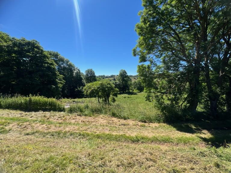 Ancienne Ferme partiellement rénovée avec deux habitations distinctes à Champclause