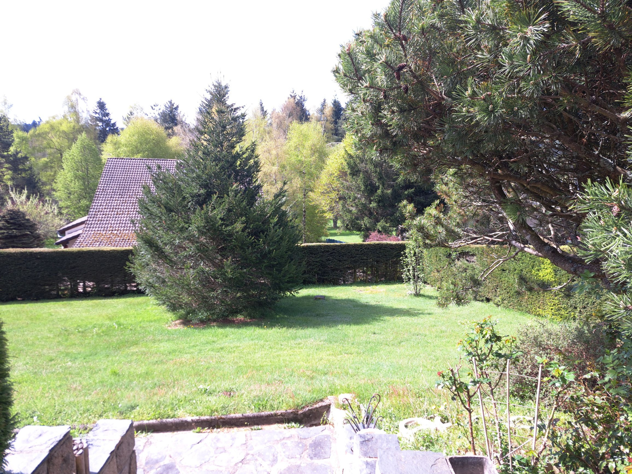 Domaine du Fraisse Chambon sur Lignon 200m2 Habitables sur 1502 m2