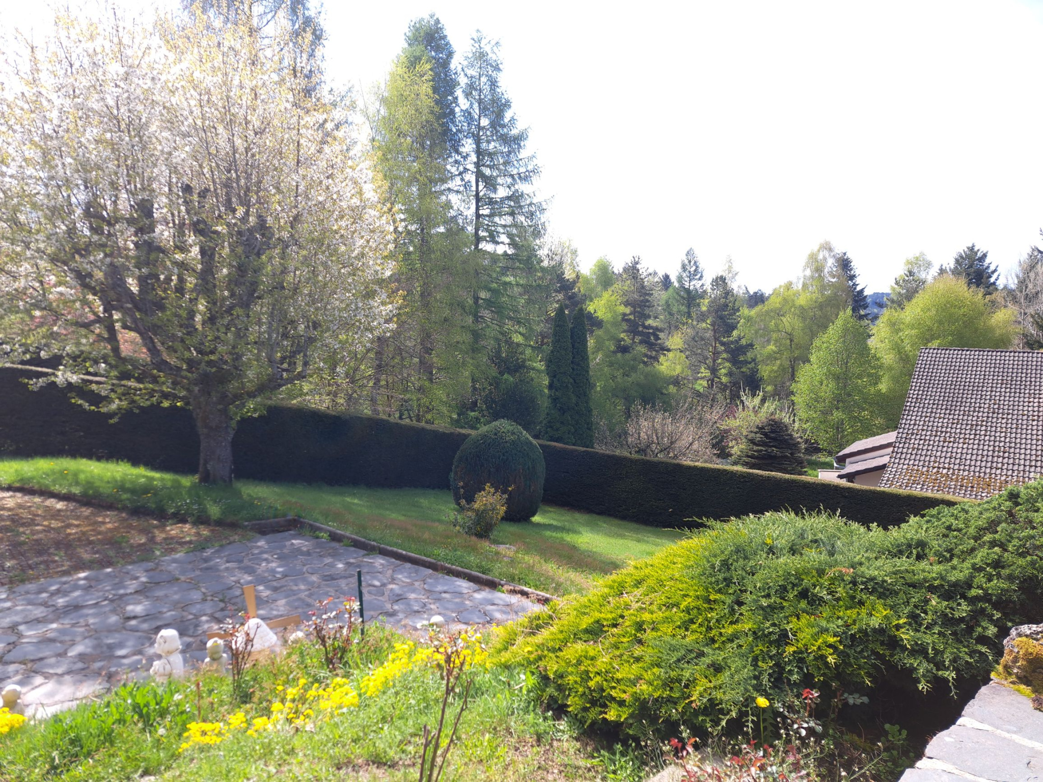 Domaine du Fraisse Chambon sur Lignon 200m2 Habitables sur 1502 m2