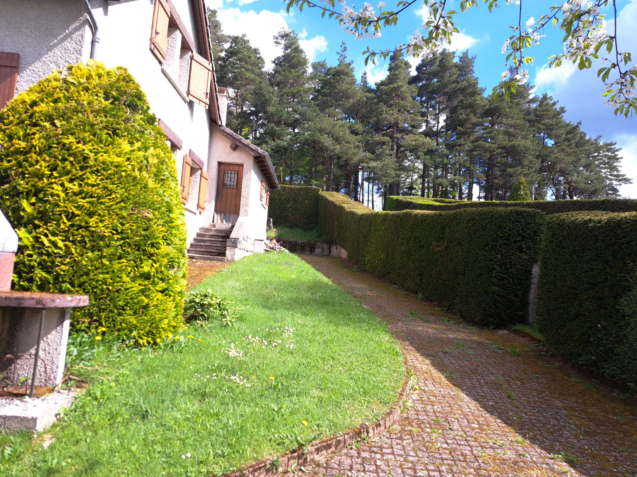 Domaine du Fraisse Chambon sur Lignon 200m2 Habitables sur 1502 m2