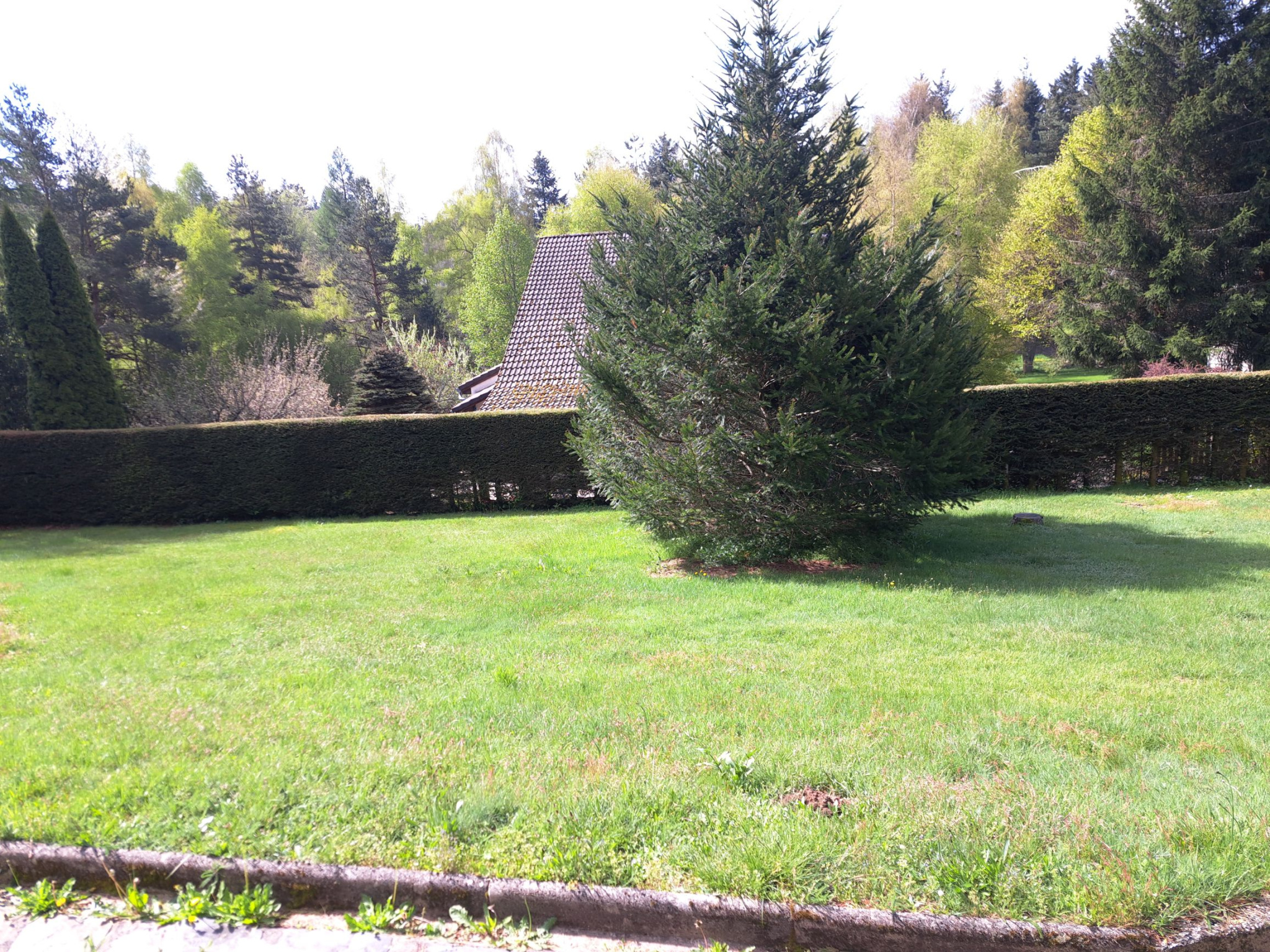 Domaine du Fraisse Chambon sur Lignon 200m2 Habitables sur 1502 m2
