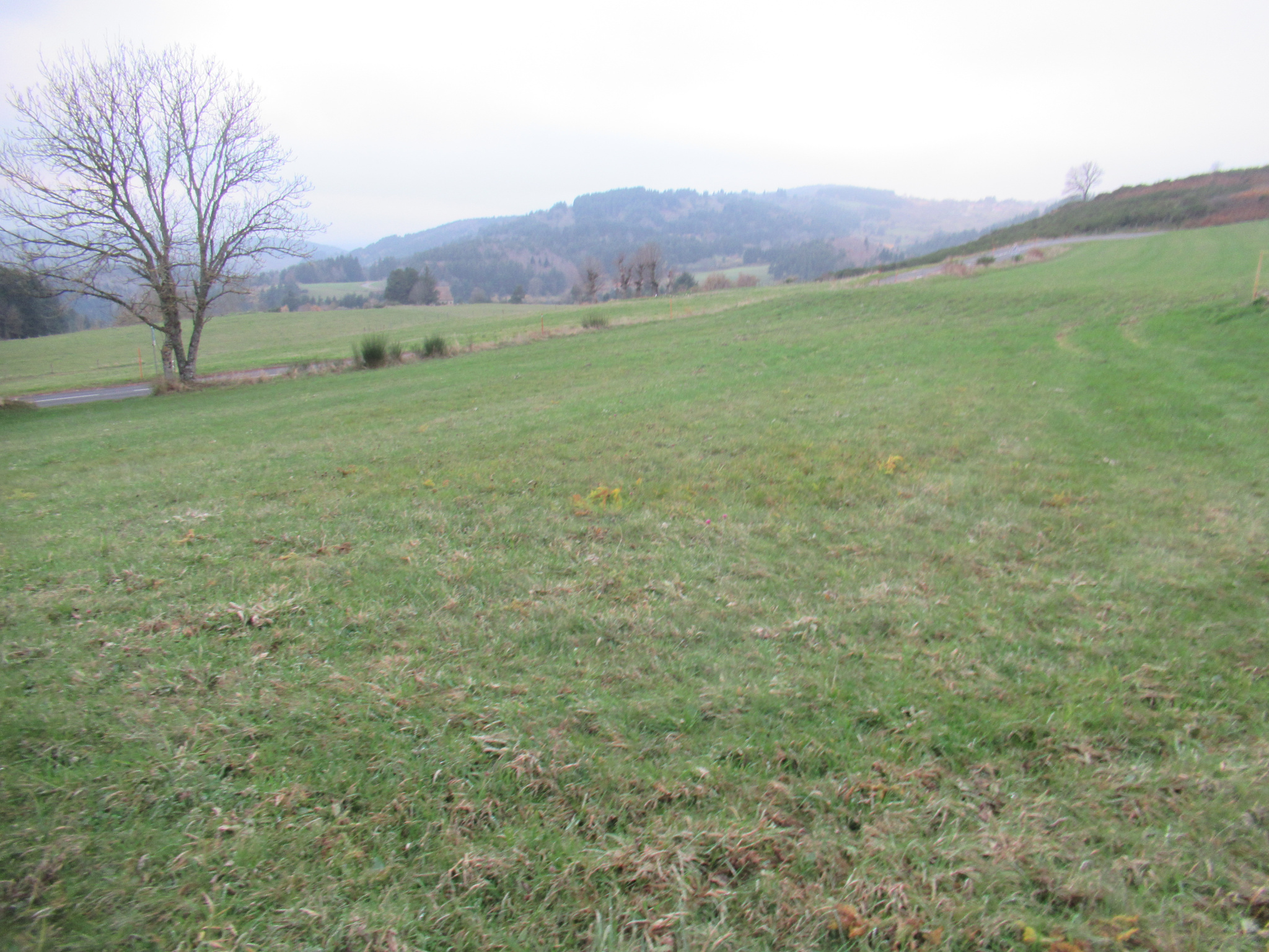 Terrain constructible de 1 100 m2 environ