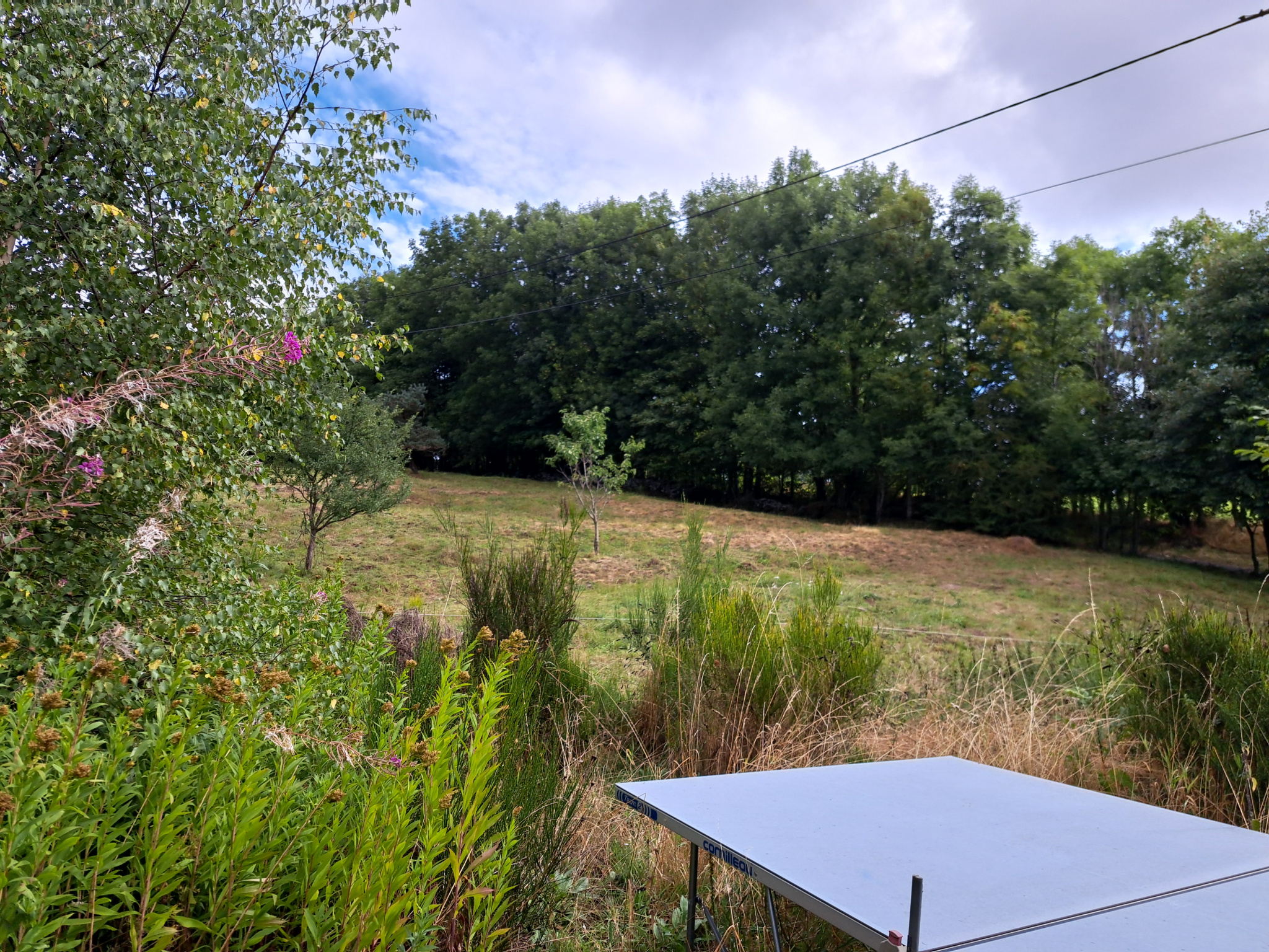 Petite ferme en pierre sur 4668 m2 de terrain sur la commune du Mazet Saint Voy