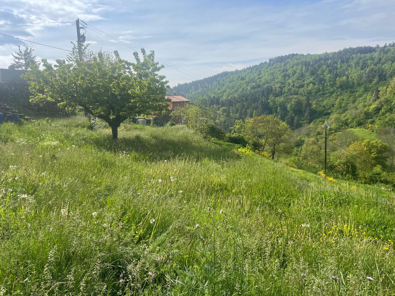 Agréable maison avec jolie terrain