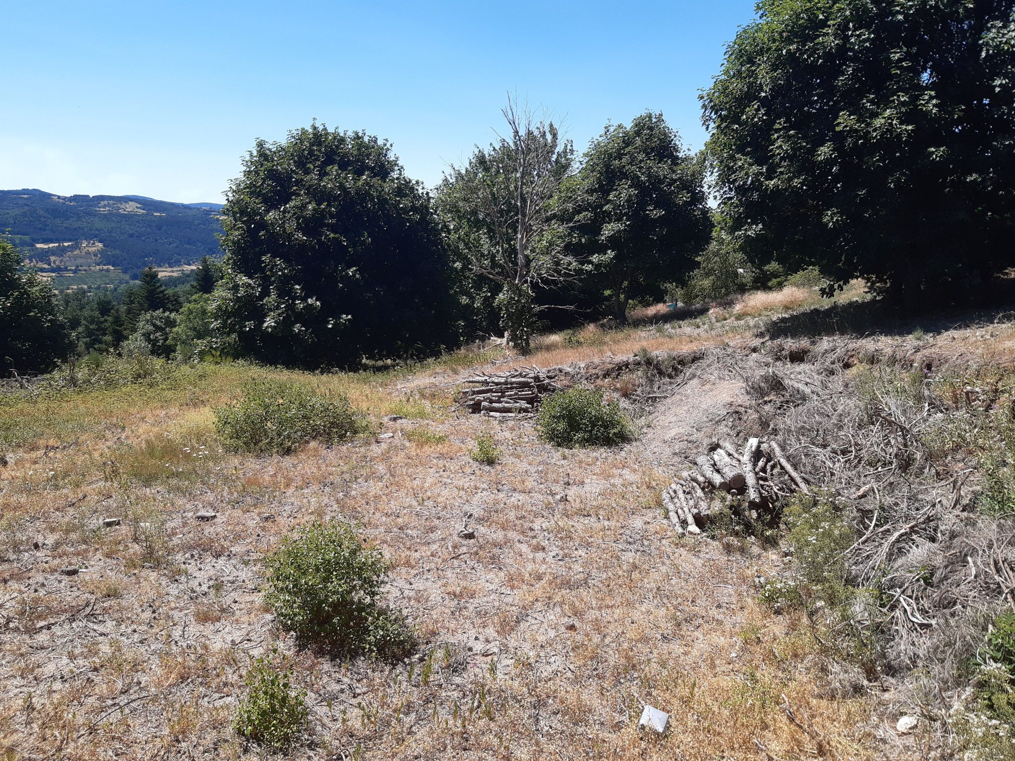 Terrain constructible avec vue dégagée