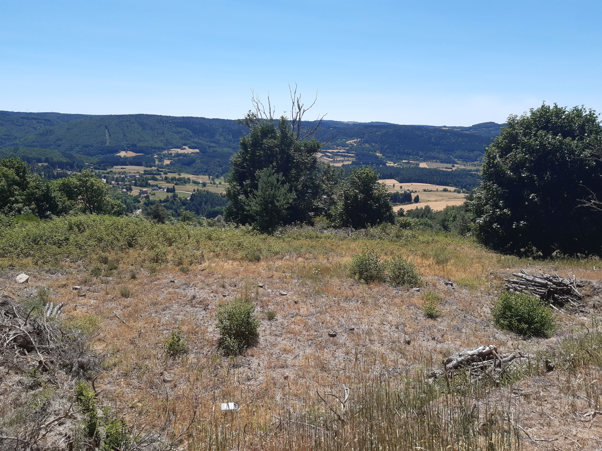 Terrain constructible avec vue dégagée