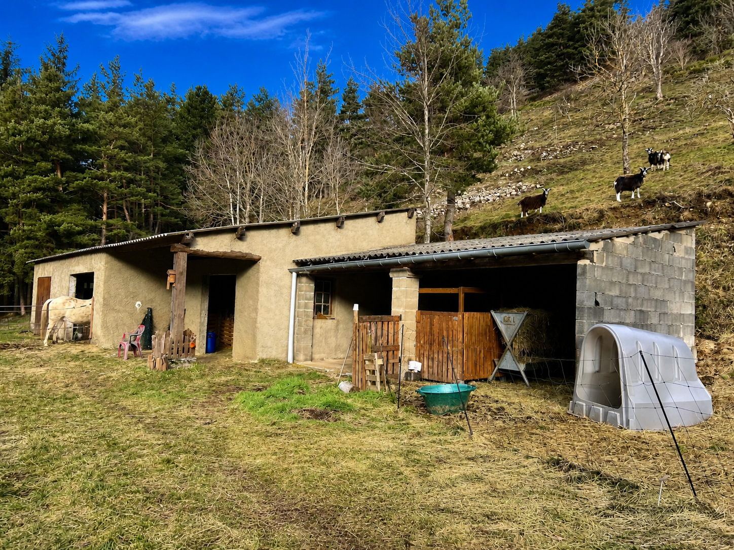 Authentique ferme de caractère