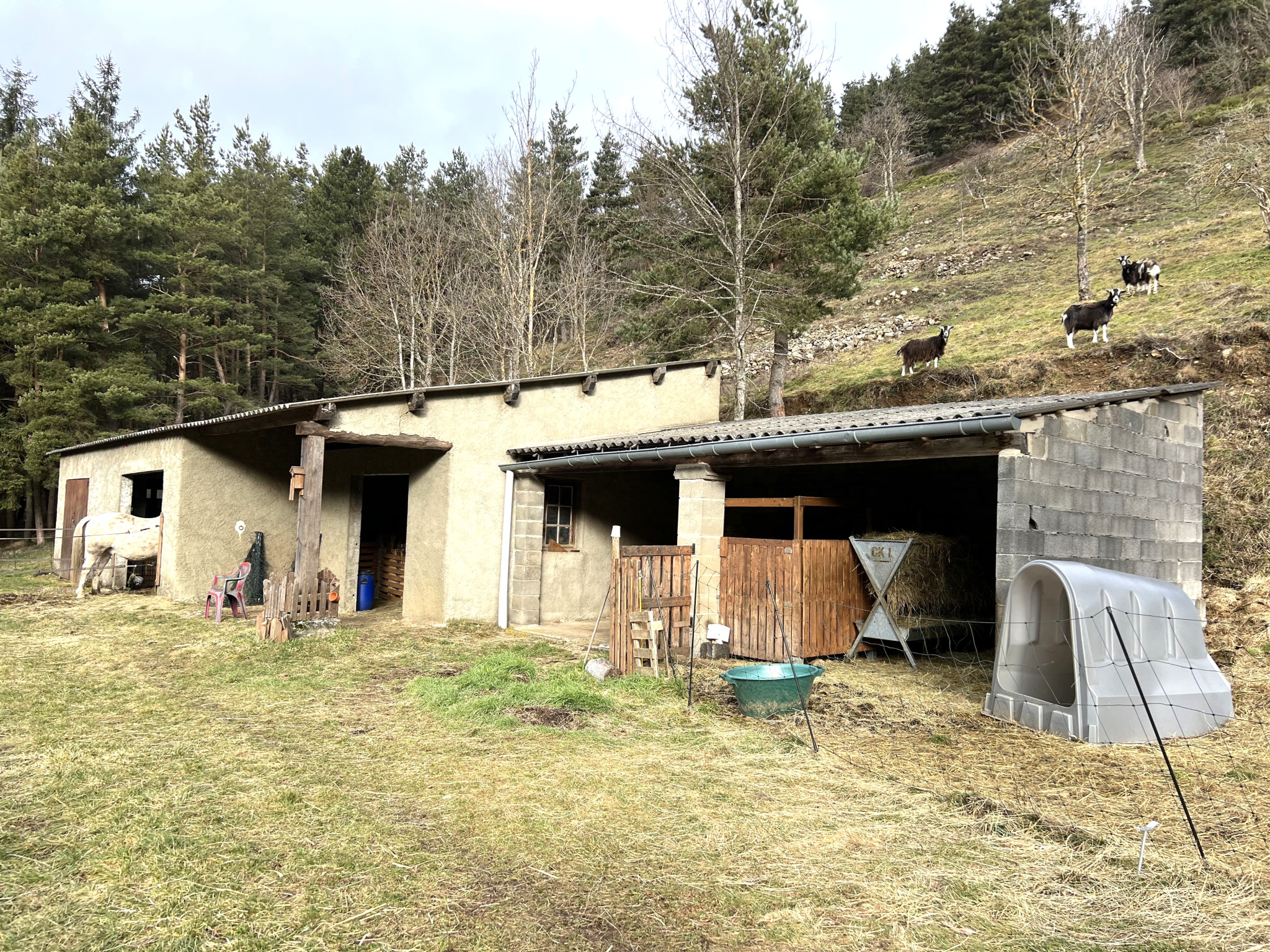 Authentique ferme de caractère