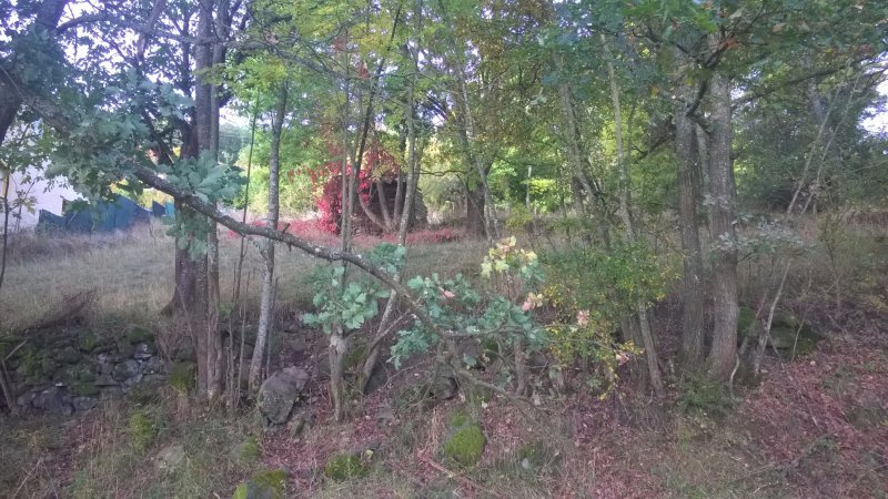 GRAND TERRAIN A PROXIMITE DE BRIVES CENTRE