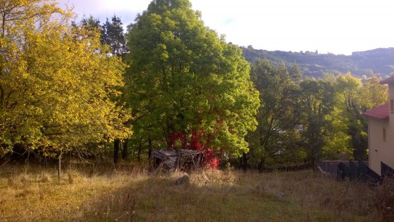 GRAND TERRAIN A PROXIMITE DE BRIVES CENTRE