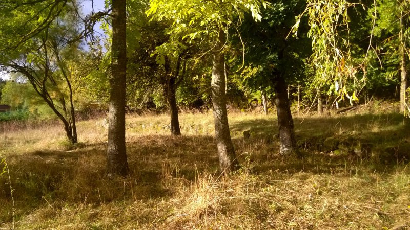 GRAND TERRAIN A PROXIMITE DE BRIVES CENTRE