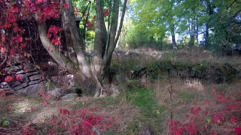GRAND TERRAIN A PROXIMITE DE BRIVES CENTRE