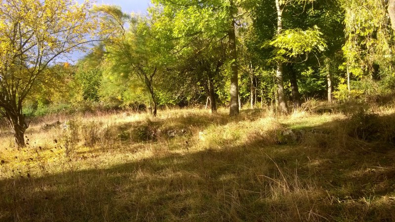 GRAND TERRAIN A PROXIMITE DE BRIVES CENTRE