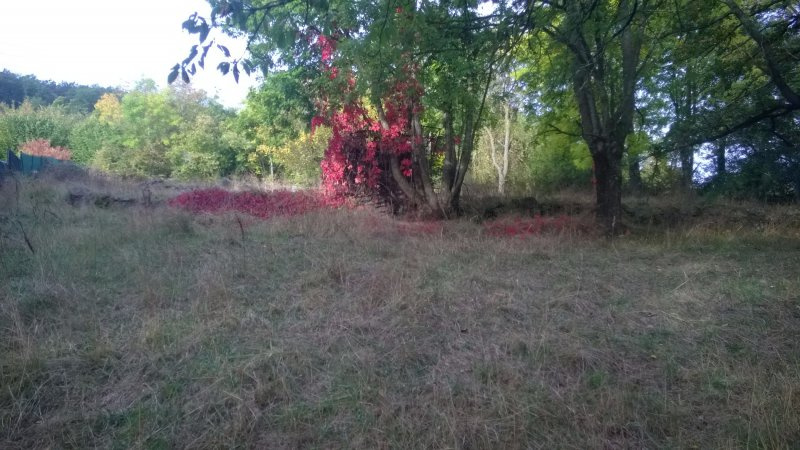 GRAND TERRAIN A PROXIMITE DE BRIVES CENTRE