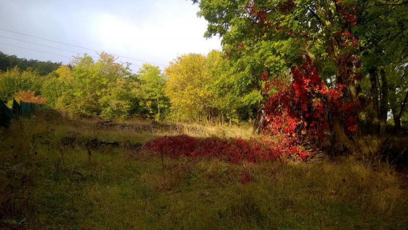 GRAND TERRAIN A PROXIMITE DE BRIVES CENTRE