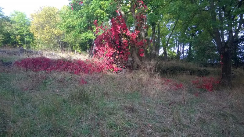 GRAND TERRAIN A PROXIMITE DE BRIVES CENTRE