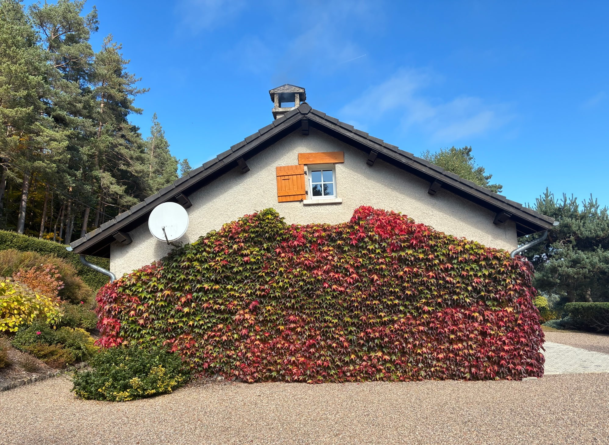 Tence/chenereilles jolie maison sur 4665 m2 de terrain