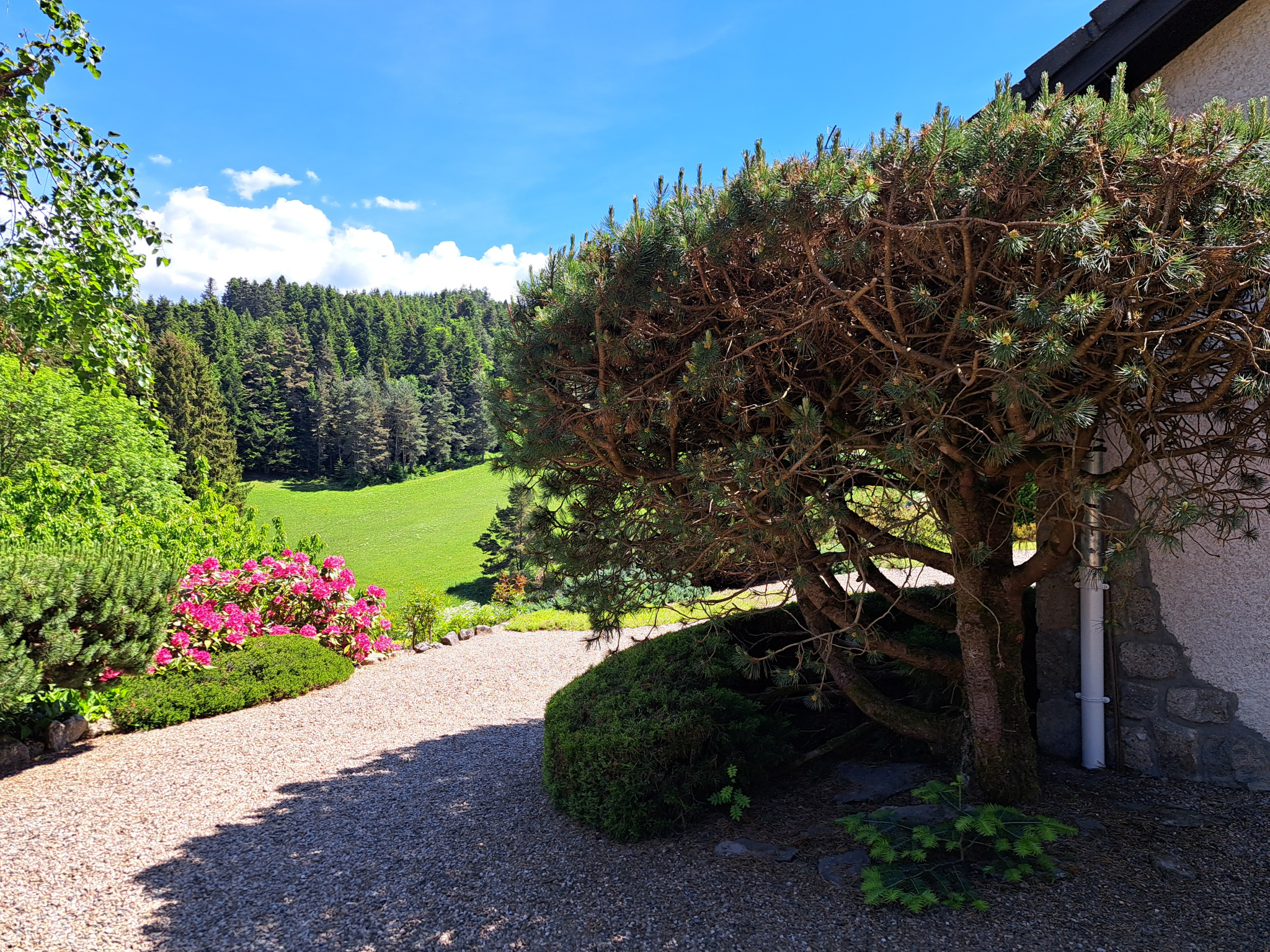 Tence/chenereilles jolie maison sur 4665 m2 de terrain