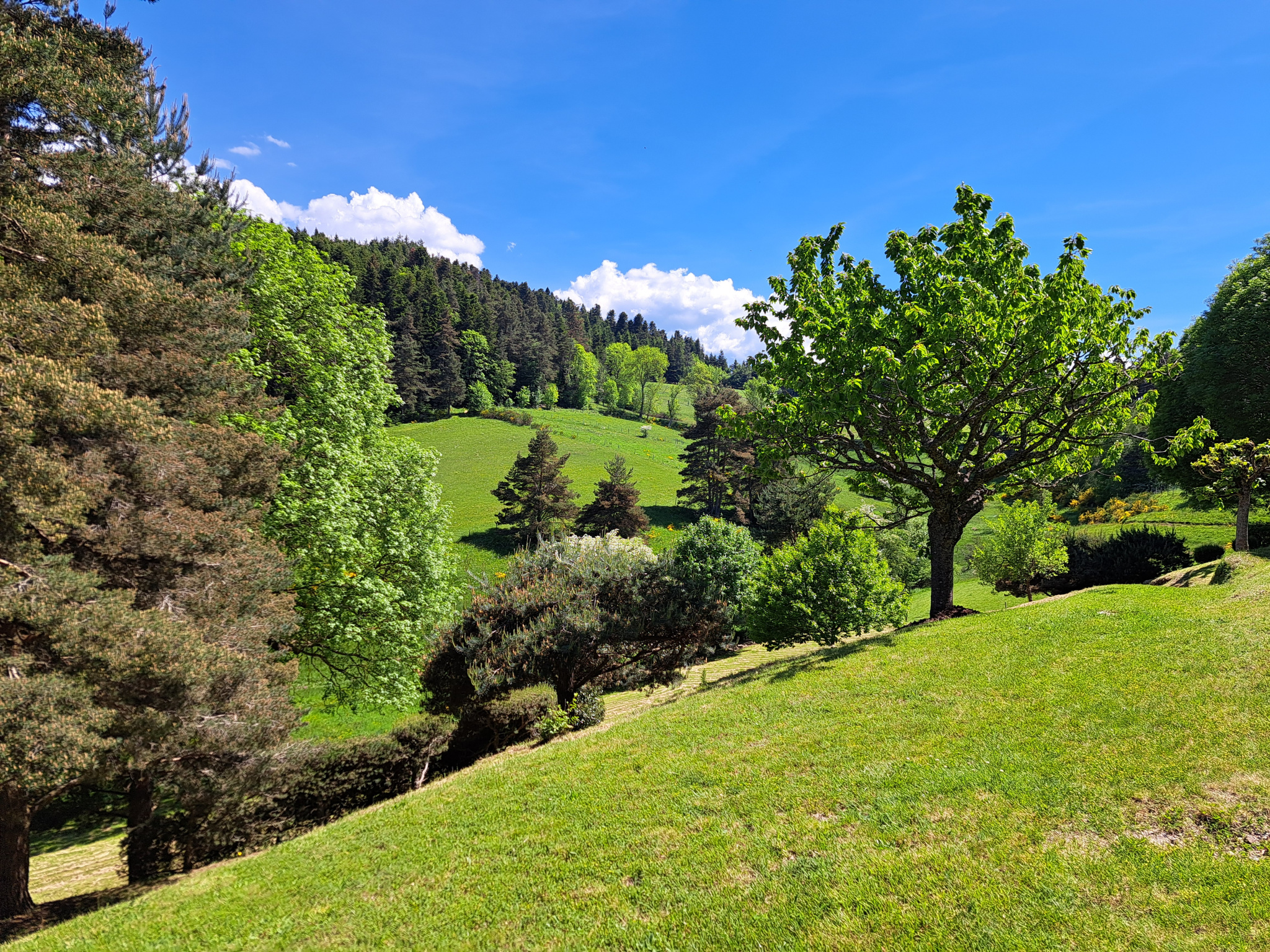 Tence/chenereilles jolie maison sur 4665 m2 de terrain